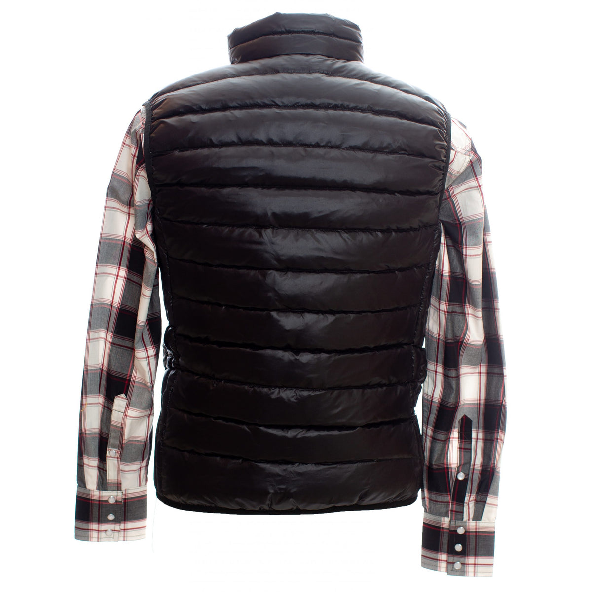 Teton Black Back