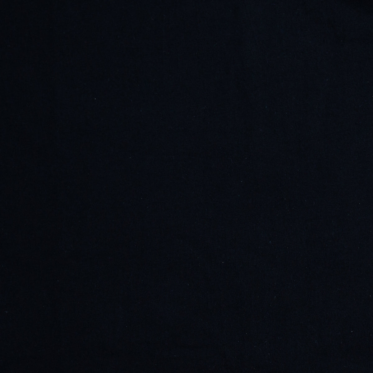 Men’s T Shirt in Navy