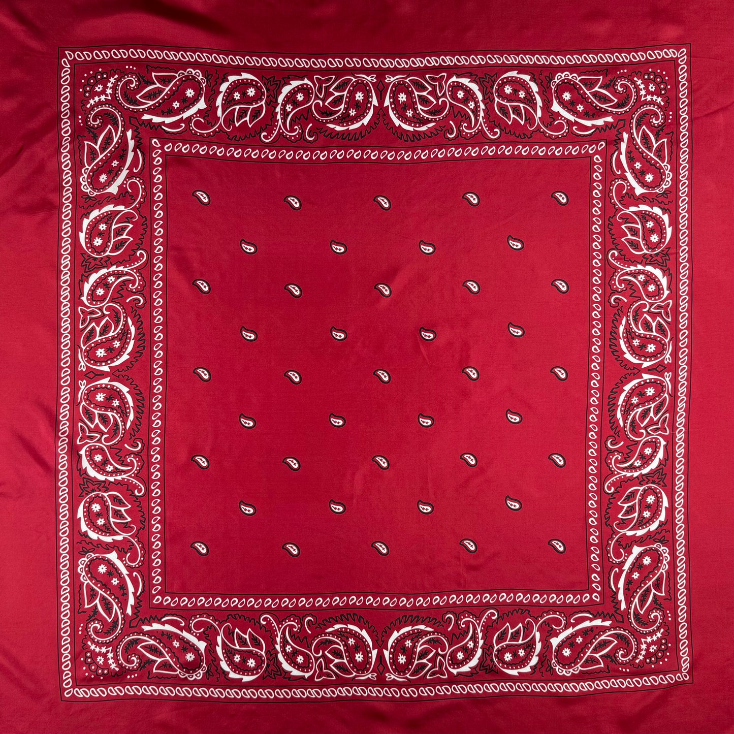 Bandana Wild Rags