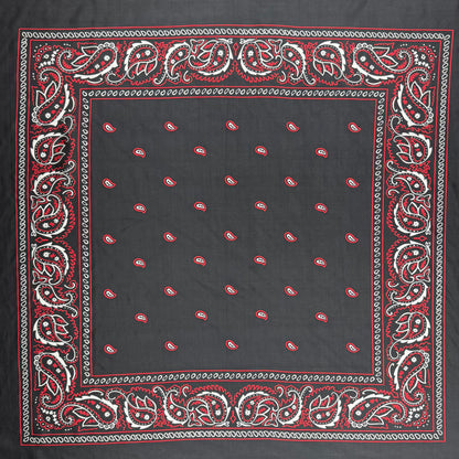 Bandana Wild Rags