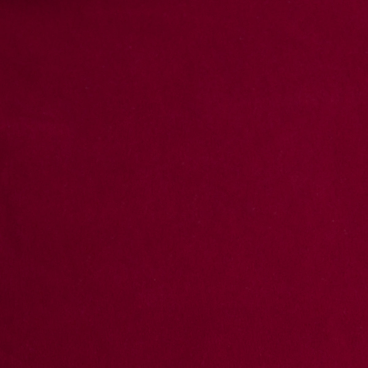 Men’s T Shirt in Navy