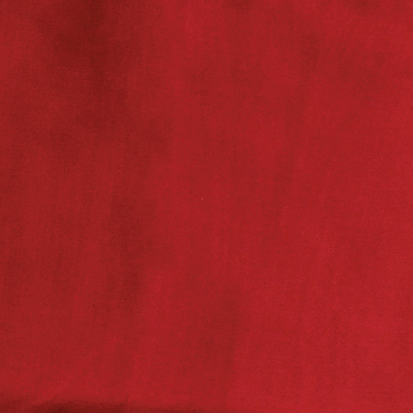 Solid Wild Rags — Red