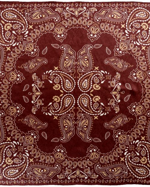 Burgundy White Paisley