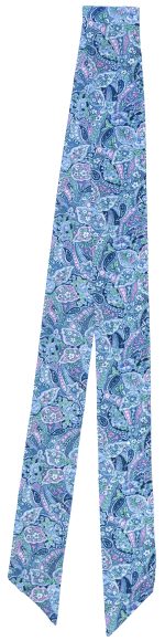 Skinny Frontier Blue Paisley